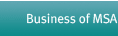 The Business of MSA
