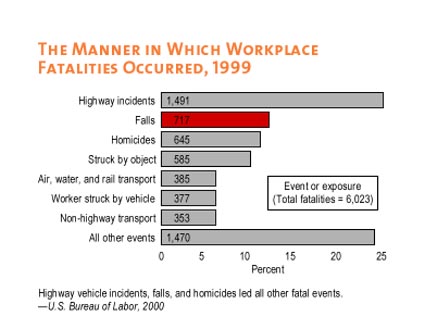 The manner in which workplace fatalities occurred, 1999